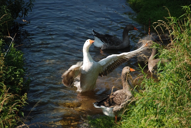 DSC_1691