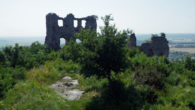 IMGP0009