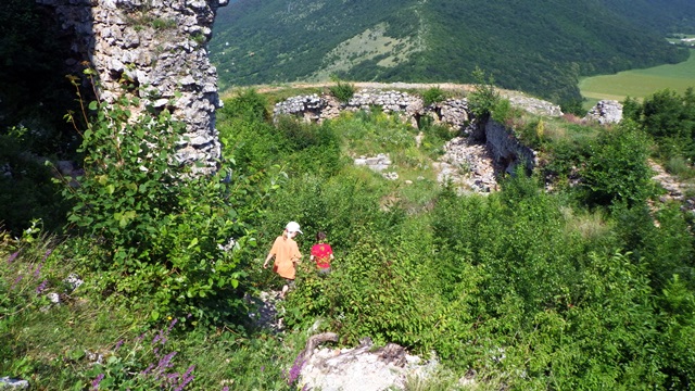 IMGP0010