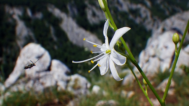 IMGP0014