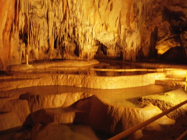 IMGP0015