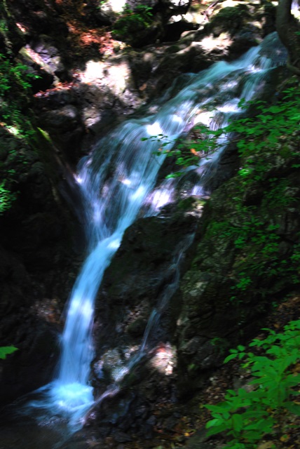 DSC_2024