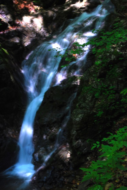 DSC_2025