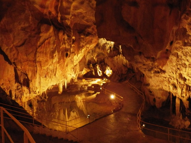 IMGP0016