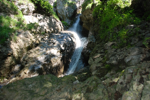 DSC_2045