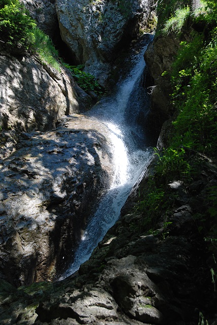 DSC_2048