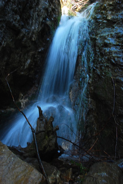 DSC_2078