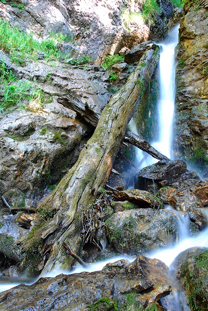 DSC_2102