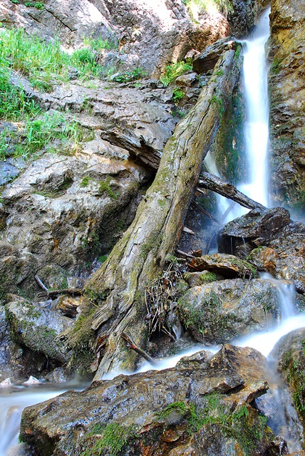 DSC_2104