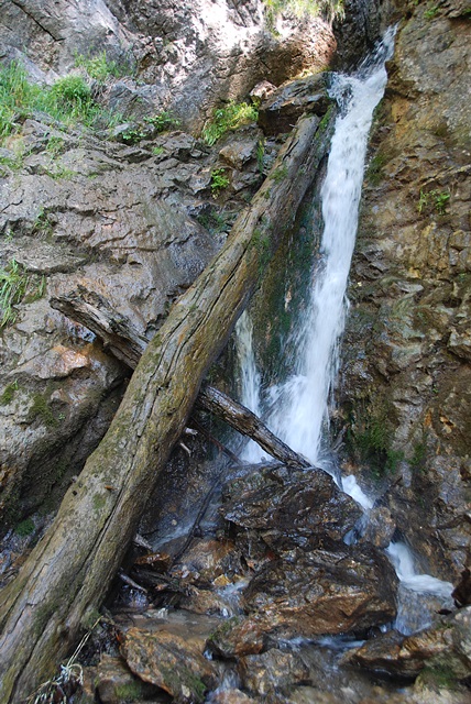 DSC_2107