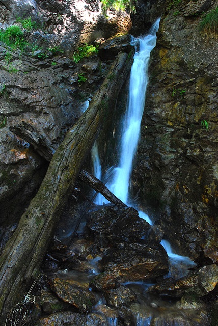 DSC_2108
