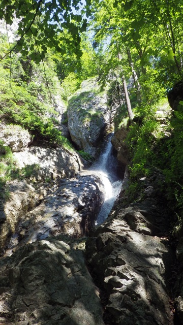 IMGP0017