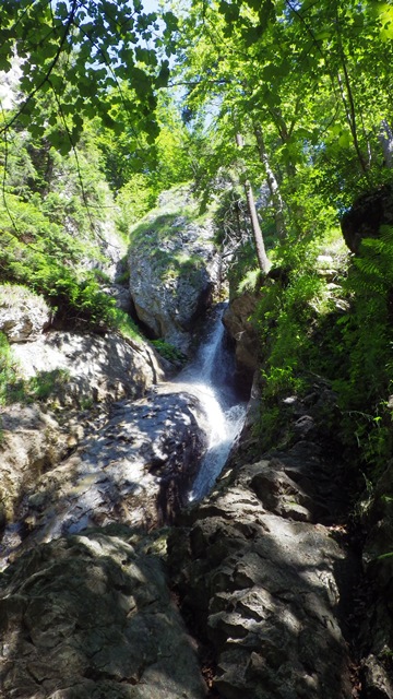 IMGP0018