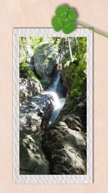 IMGP0020